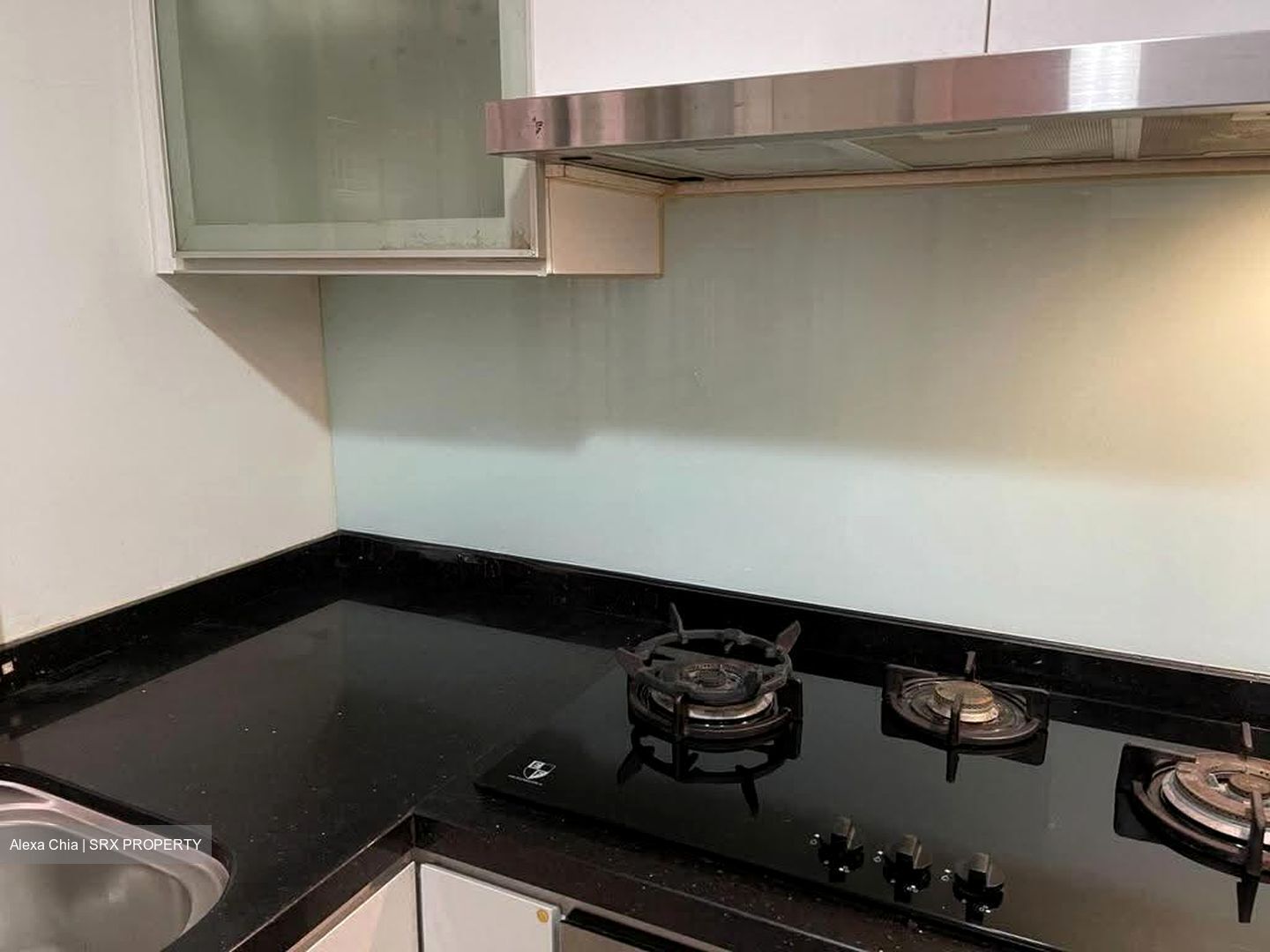 Parc Vista (D22), Condominium #611734871